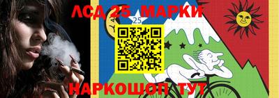 мдпв Аргун