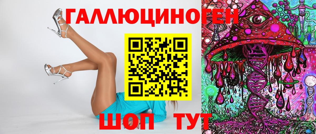 Галлюциногенные грибы Psilocybine cubensis Верхний Уфалей