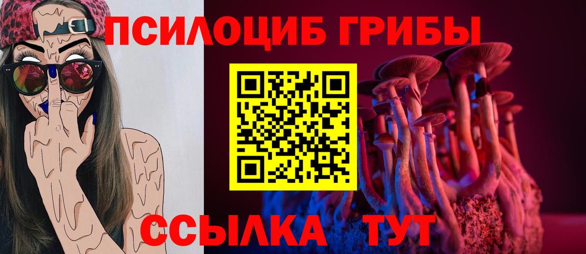 Верхний Уфалей  Галлюциногенные грибы Psilocybine cubensis  Вход с VPN 